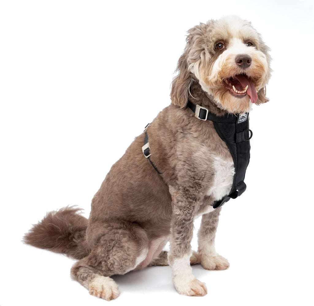 Kurgo Tru-Fit Smart Harness
