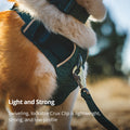 Ruffwear Front Range Leash