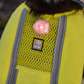 Beacon Safety Light