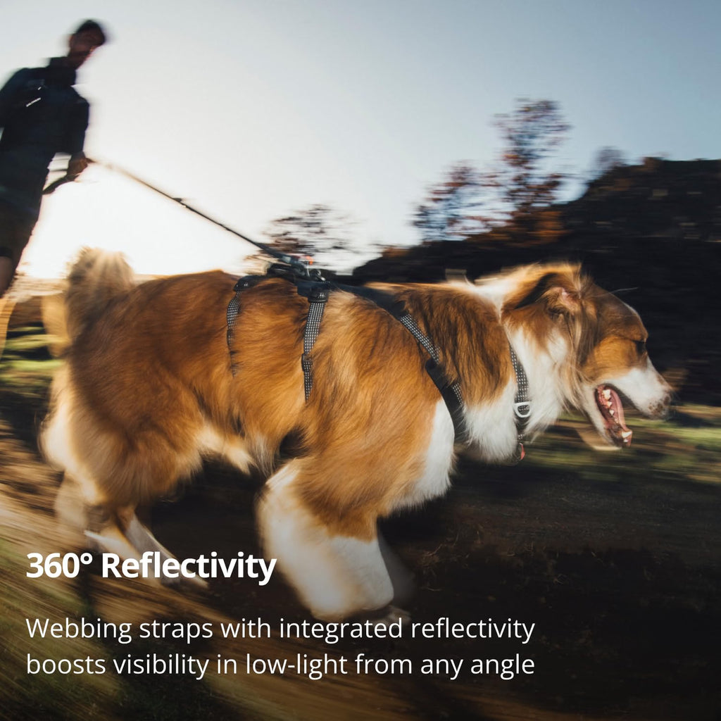 Ruffwear Ridgeline Harness