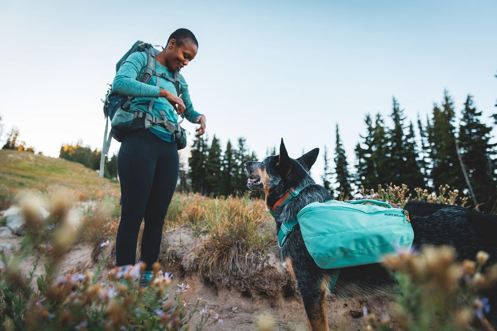 Ruffwear Palisades Pack