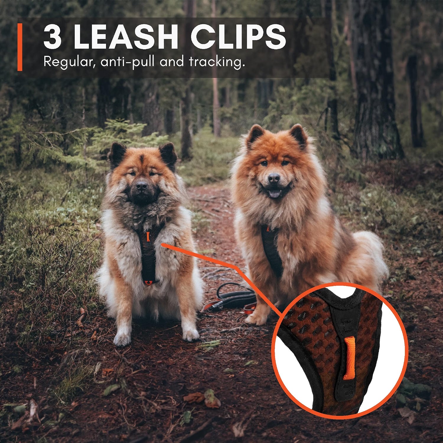 Non-stop Dogwear Rock Harness