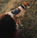 Ruffwear Timberline Vest