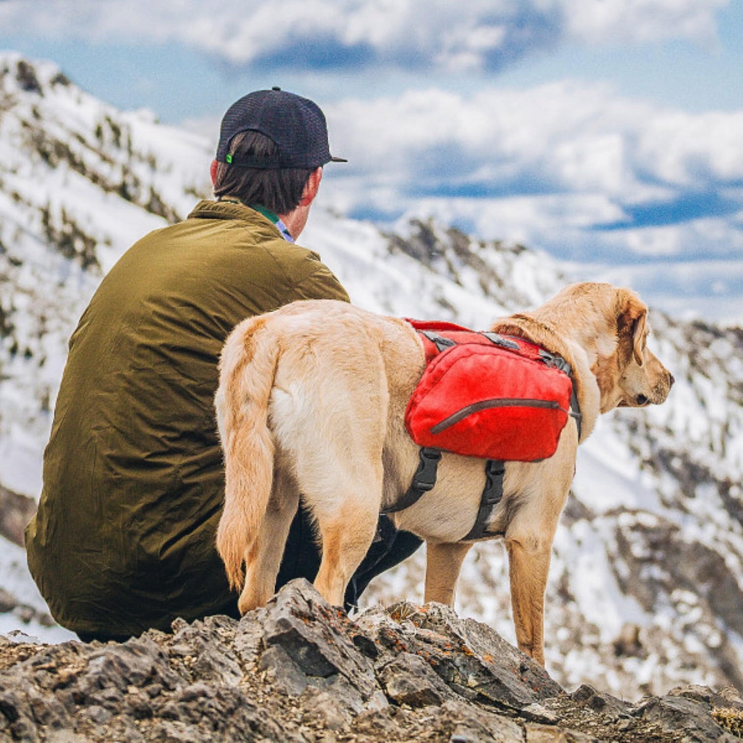 Kurgo Baxter Backpack