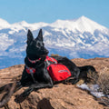 Kurgo Baxter Backpack