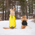 Kurgo Loft Dog Jacket