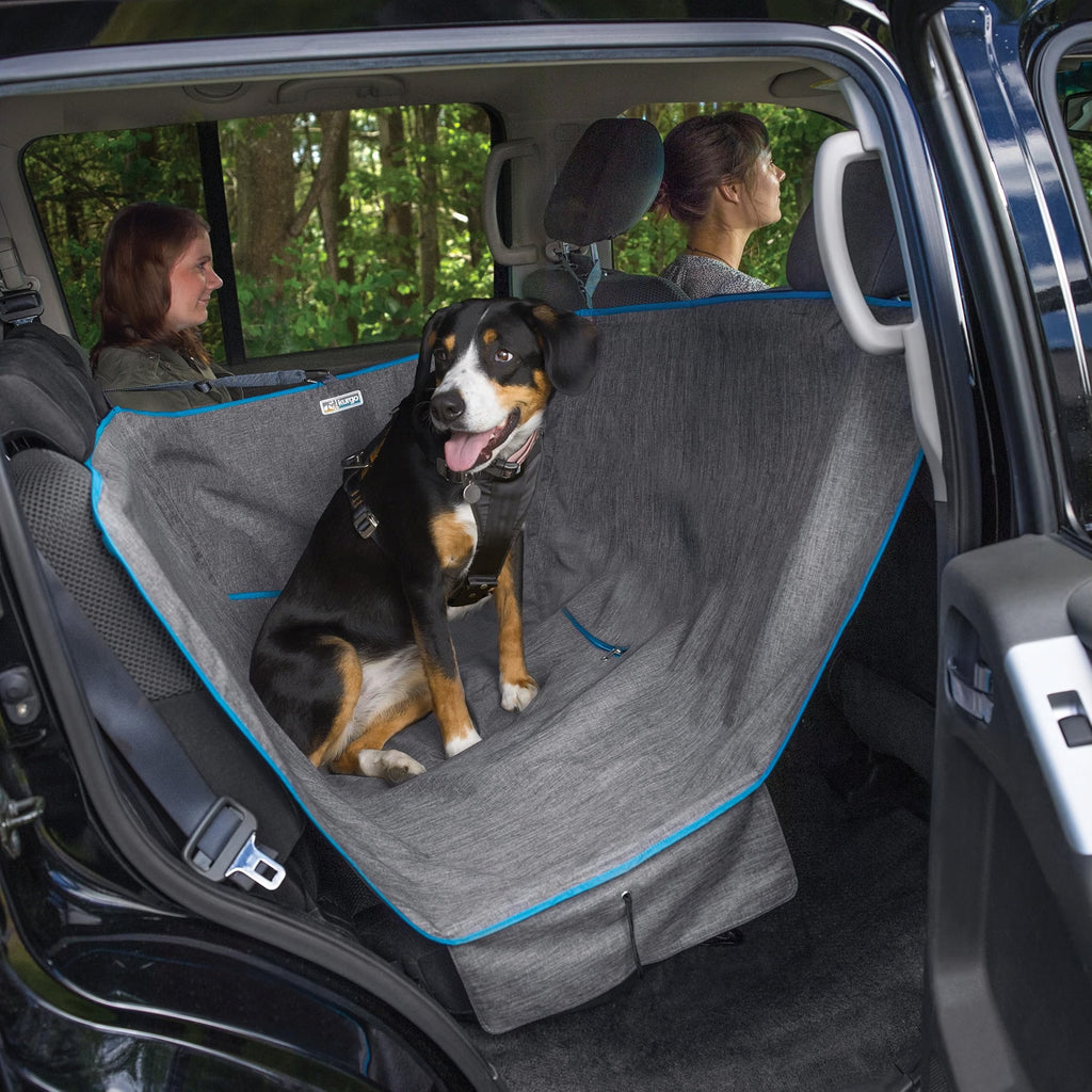Kurgo Rover Wander Hammock