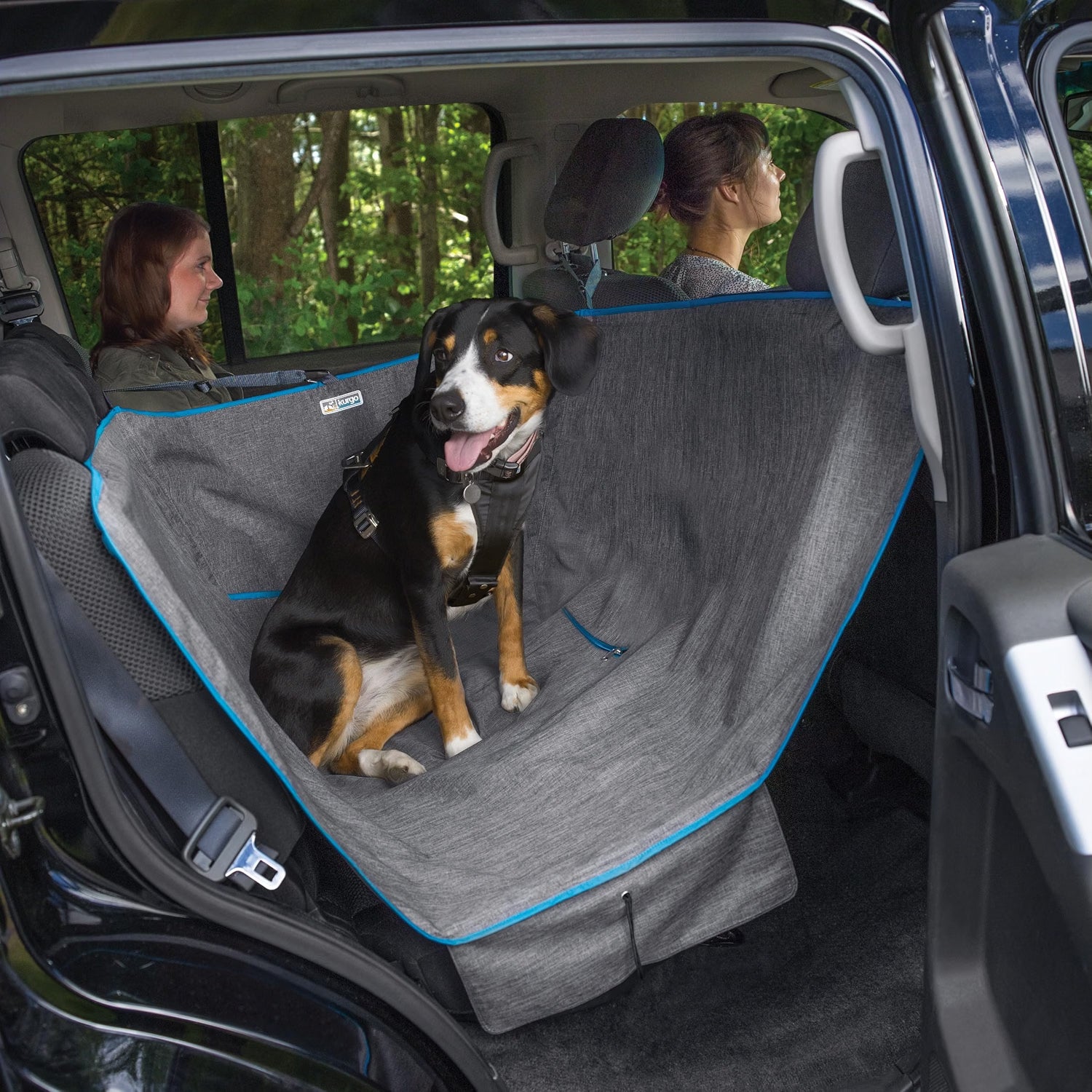 Kurgo Rover Wander Hammock